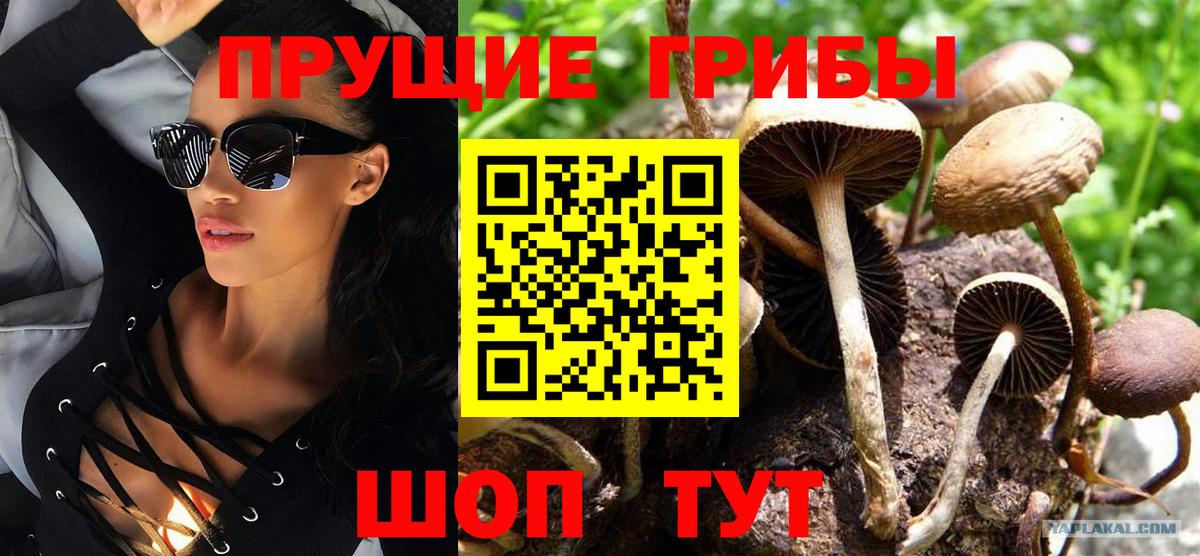 Галлюциногенные грибы ЛСД Семилуки