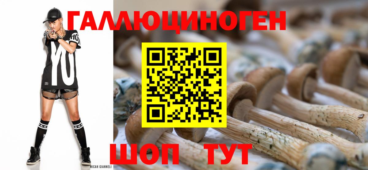 Семилуки  Псилоцибиновые грибы Psilocybe  Вход с VPN 