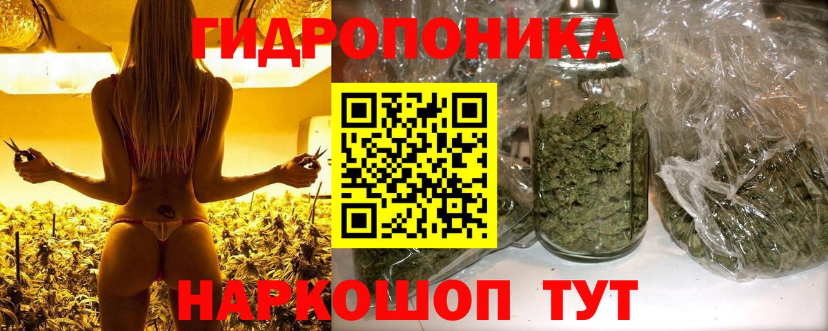 Бошки марихуана Bruce Banner Семилуки